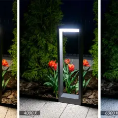 Ogród nocą z tulipanami i nowoczesną lampą. Porównanie jaka barwa światła na zewnątrz: ciepła 3000K, neutralna 4000K i zimna 6000K.