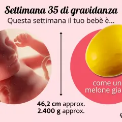 A 35 settimane di gravidanza, il tuo bebè è grande come un melone giallo, con circa 46,2 cm e 2.400 g.
