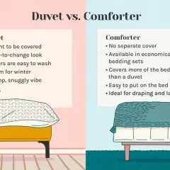 Illustration comparing a duvet and comforter. A cat naps on a bed with a duvet, while another bed features a comforter.