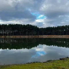 Łowisko Forest Lake: Tajniki sukcesu i karpie 20kg+?