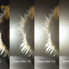 Porównanie efektów: brak filtra, filtr black mist 1/8, 1/4 i 1/2 na futrzanym obiekcie.