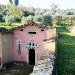 Un edificio rosa con decorazioni barocche, immerso in un uliveto. Sembra la fonte della fata morgana, un luogo incantato.