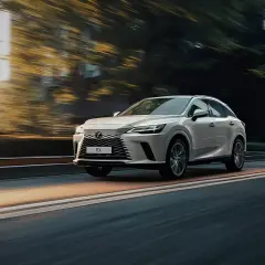 Biały Lexus RX 350h pędzi po drodze, otoczony rozmazanymi drzewami i światłem zachodzącego słońca.