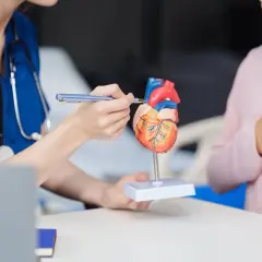 Lekarz wyjaśnia pacjentce model serca, omawiając objawy astmy sercowej.