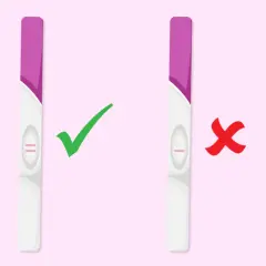 Deux tests de grossesse : un positif (deux barres roses) avec une coche verte, et un négatif (une barre rose) avec une croix rouge.