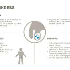 Hodenkrebs Vorsorge: So erkennen Sie die Symptome rechtzeitig