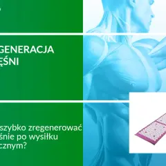 Grafika z hasłem "Regeneracja mięśni" i pytaniem "Jak szybko zregenerować mięśnie po wysiłku fizycznym?". Widoczny też masażer akupresurowy.