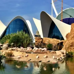 Różowe flamingi odpoczywają przy wodzie przed futurystycznym budynkiem, który jest częścią największego oceanarium w Europie.