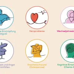 Grafik zeigt 6 Kreise mit Symbolen: Erschöpfung, Herzprobleme, Wechseljahresbeschwerden, Unsicherheit, Knochenschwund, Chemo-Brain. Diese können Teil von adjuvante chemotherapie erfahrungen sein.
