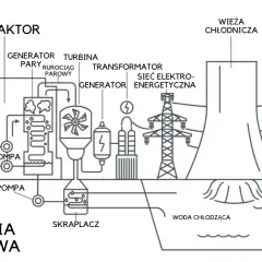 Elektrownia jądrowa: Jak działa? Bezpieczeństwo i odpady