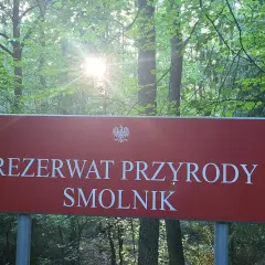 Tablica informuje o rezerwacie przyrody Smolnik, jednym z pięknych rezerwatów przyrody opolskie. Słońce przebija się przez liście drzew.