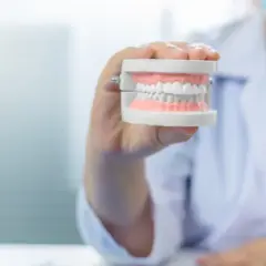 Ile zębów stałych masz naprawdę? Od 28 do 32 pełne wyjaśnienie