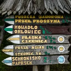 Drewniany drogowskaz leśny z nazwami szlaków, w tym "rudawiec najkrótszy szlak".