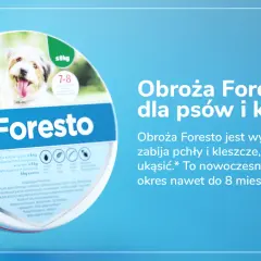 Obroża Foresto kiedy zdjąć – uniknij problemów z pchłami i kleszczami