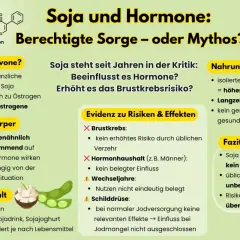 Infografik über Soja und Hormone. Diskutiert Isoflavone, ihre Wirkung und ob sie Nebenwirkungen wie Brustkrebsrisiko oder hormonelle Störungen verursachen.