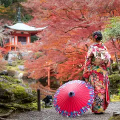 Kobieta w kimonie podziwia jesienne barwy Japonii. To idealny czas, kiedy najlepiej zwiedzać Japonię, by zobaczyć takie widoki.