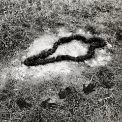 A dark, organic shape resembling a snake or a twisted rope lies in a patch of light soil, surrounded by grass. Handprints are visible in the foreground, part of the silueta series.