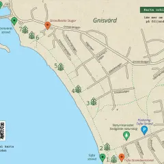 Karta över Gnisvärd och Tofta strand, med markerade orkidélokaler och en kuststigen karta. QR-kod för digital karta.
