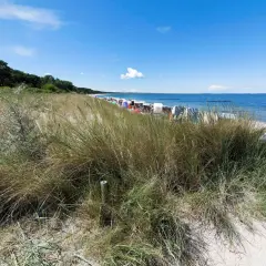 Strandgras und Strandkörbe am Ostseestrand. Perfekt zum baden Ostsee und Entspannen.