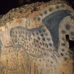 Peintures rupestres des grottes du Pech Merle : un cheval tacheté noir et rouge, une œuvre d'art préhistorique.