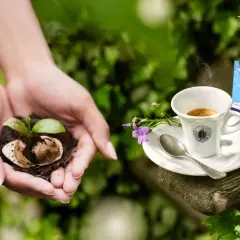 Mani che sorreggono un germoglio nato da fondi di caffè per basilico, accanto a un espresso Borbone.