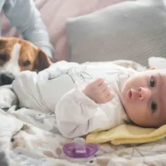 Maluch i pies leżą obok siebie. To idealny moment, by pokazać, jak przygotować psa na dziecko, by czuł się bezpiecznie.