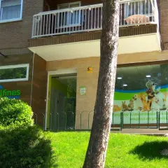 Veterinario Coslada: Mejores clínicas y servicios para tu mascota