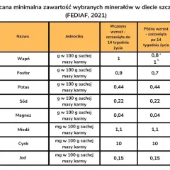 Co ile karmić szczeniaka? Harmonogram i błędy, których unikniesz