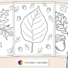Páginas para colorear de otoño con hojas de arce, bellotas y una gran hoja central. ¡Perfecto para una actividad de hoja de otoño colorear!