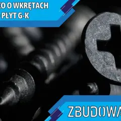 Zbliżenie na czarne wkręty do płyt g-k. Dowiedz się, jakie wkręty do płyt gk wybrać, by Twoja konstrukcja była trwała.