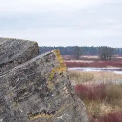 Betonowe pozostałości po bunkrach w **Osowiec** na tle mokradeł i lasu.