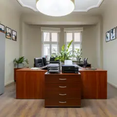Nowoczesne biuro z drewnianymi meblami, roślinami i drukarką.