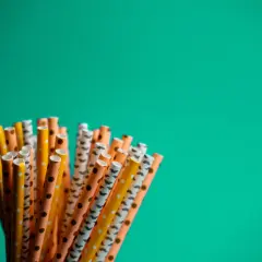 Słomki plastikowe: Dlaczego zniknęły? Przegląd eko-alternatyw
