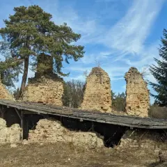 Kamienne ruiny zamku nad Jeziorem Rożnowskim, z fragmentem drewnianego dachu i sosną.