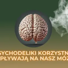 Jak psychodeliki działają na mózg? Neurobiologia w pigułce