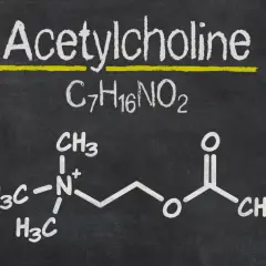 Struktura chemiczna acetylocholiny, kluczowego neuroprzekaźnika, narysowana kredą na tablicy.