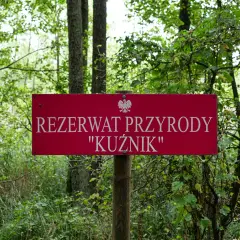 Rezerwat Kuźnik: Odkryj perłę Wielkopolski przewodnik po Gwdzie