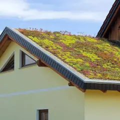 Piękny dom z zielonymi dachami, porośniętymi bujną roślinnością. Niebo błękitne, z kilkoma chmurkami.