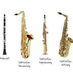 Instrumenty muzyki klasycznej: przewodnik i wybór dla początkujących