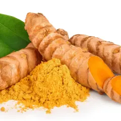 Frische Kurkumawurzeln und Pulver, bereit, die Gesundheit zu stillen.
