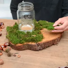 Beim Herbst Deko basteln wird Moos auf Holzscheibe gelegt. Kastanien und Eicheln liegen daneben.