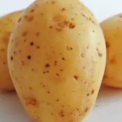 Tres patatas crudas con pequeñas manchas oscuras. ¿Te atreverías a comer patata cruda?