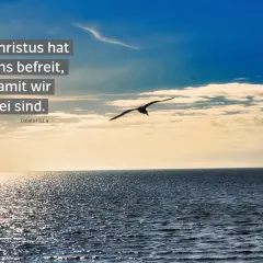 Ein Vogel fliegt über das Meer. Der Text "Christus hat uns befreit, damit wir frei sind." (Galater 5,1 a) vermittelt bibelzitate hoffnung.