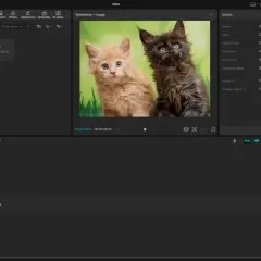 Photoshop: Usuwanie tła od AI do Pióra. Mistrzowska precyzja