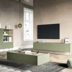 Nowoczesny salon z meblami w kolorze oliwkowym. Szafka RTV, stolik kawowy i regał tworzą spójną aranżację.