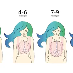 Ilustracje pokazują, jak nosić noworodka w różnym wieku: od 0-3 miesięcy do 10-12+ miesięcy.