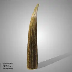 Stożkowaty, brązowy przedmiot, przypominający marlin spike, z widoczną fakturą.