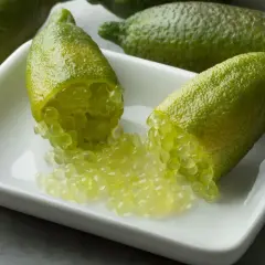 Citronnier caviar : des fruits verts allongés ouverts révèlent leurs perles juteuses sur une coupelle blanche.