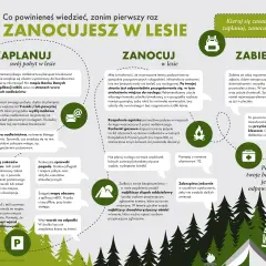 Planujesz zanocuj w lesie? Sprawdź mapę, pogodę i zasady. Aplikacja mBDL pomoże Ci zaplanować nocleg.