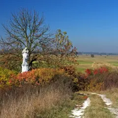 Kapliczka z figurą Matki Boskiej na tle jesiennego krajobrazu Ponidzia. Droga wśród traw prowadzi do niej.